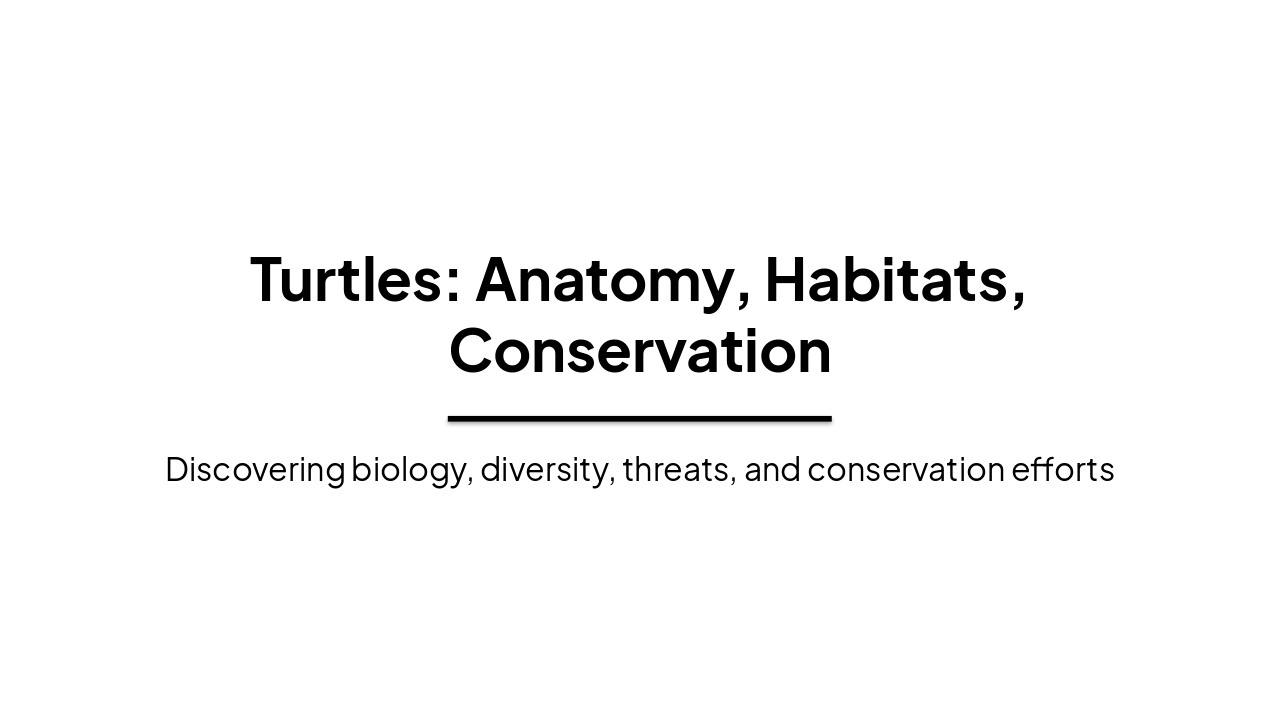 Turtles: Anatomy, Habitats & Conservation