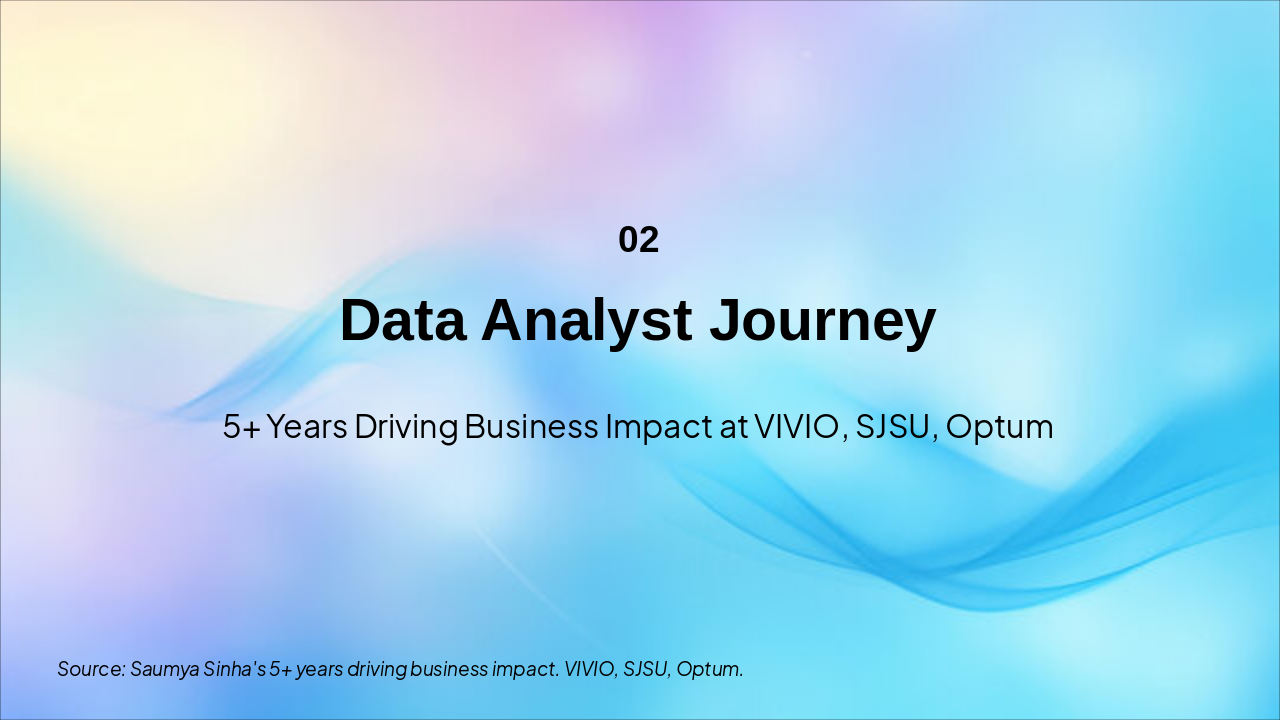 Slide 3 - Professional Experience