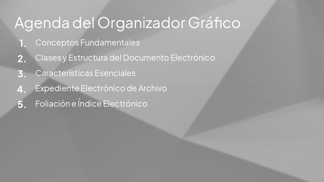 Slide 2 - Agenda del Organizador Gráfico