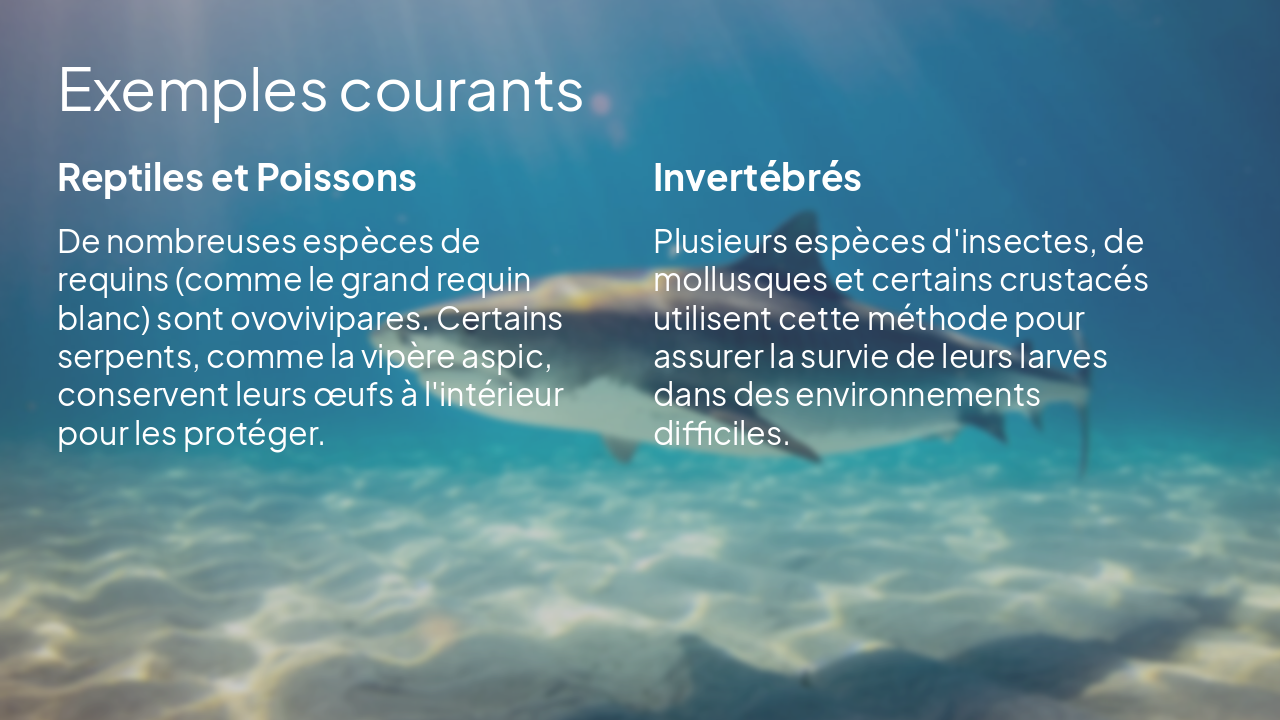 Slide 6 - Exemples courants
