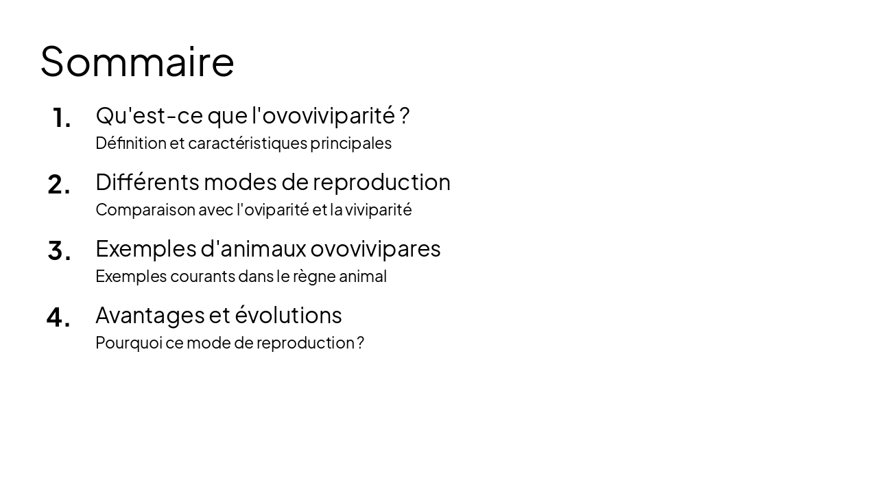 Slide 2 - Sommaire