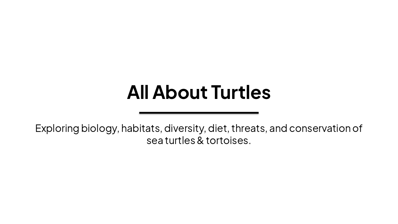 All About Turtles: Biology to Conservation