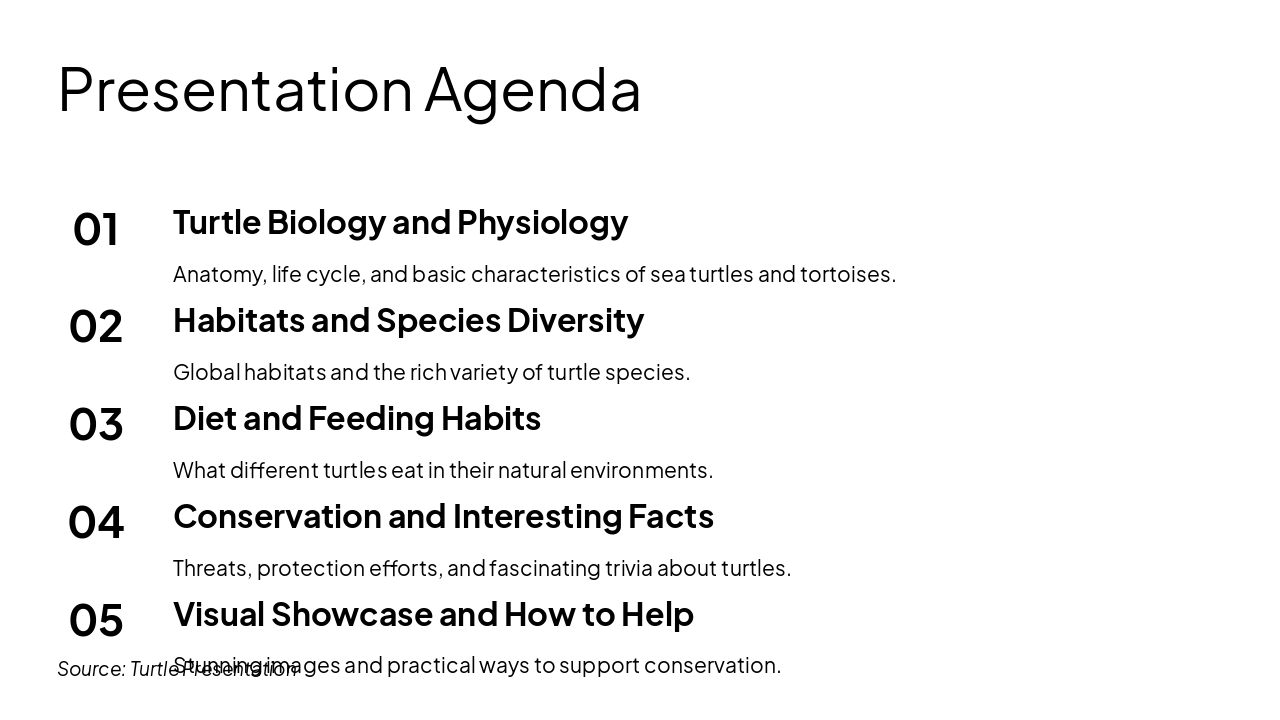 Slide 2 - Presentation Agenda