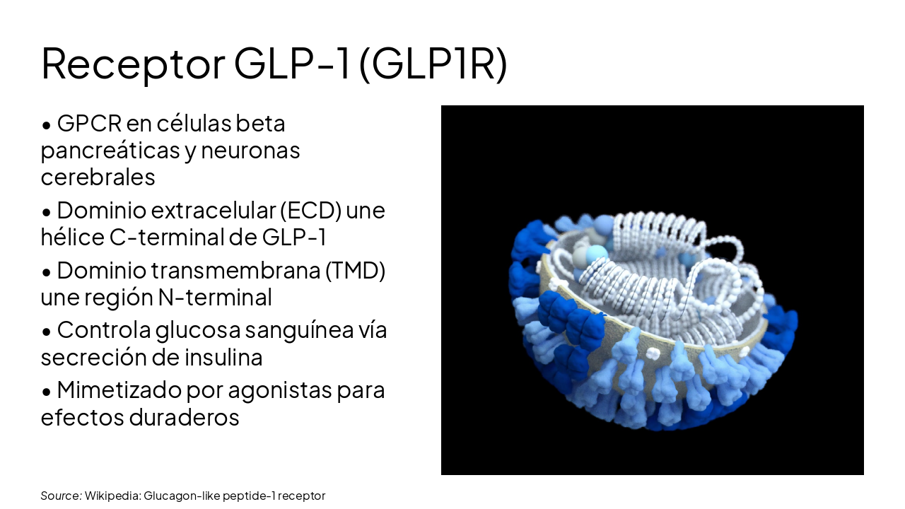 Slide 5 - Receptor GLP-1 (GLP1R)