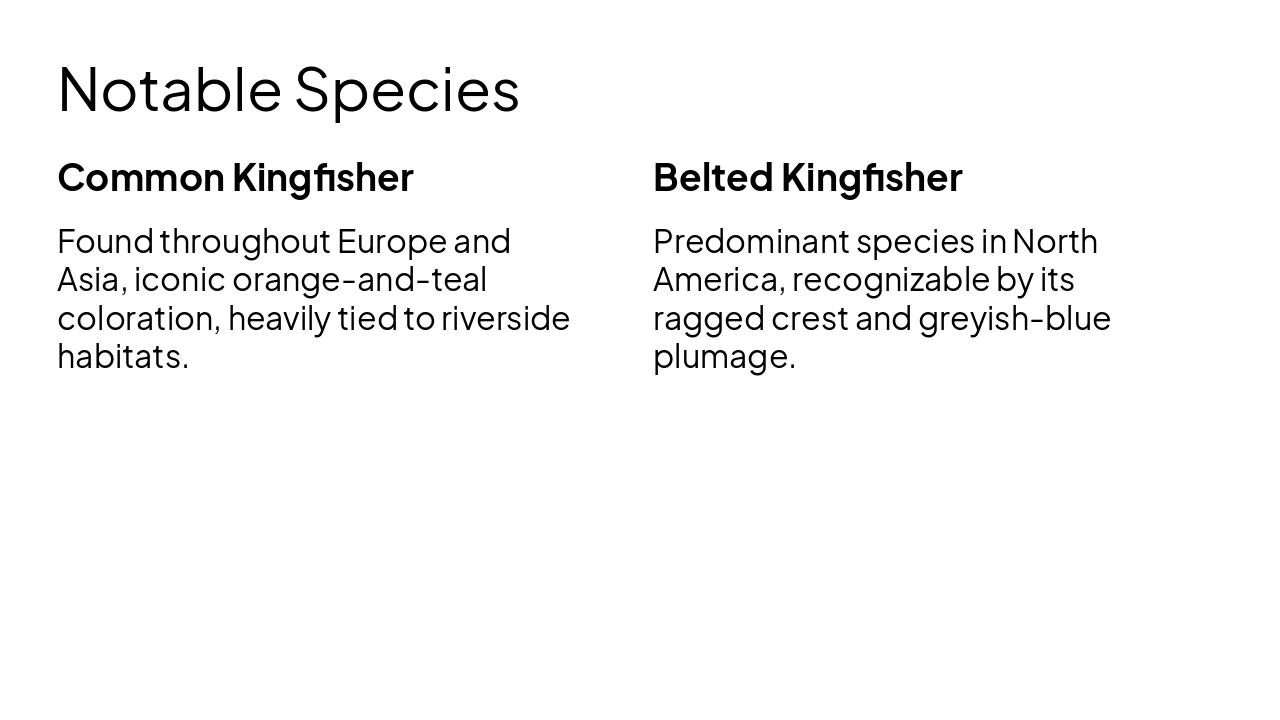 Slide 6 - Notable Species