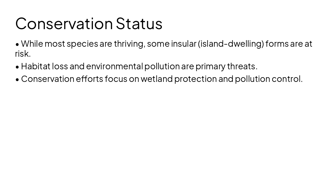 Slide 11 - Conservation Status