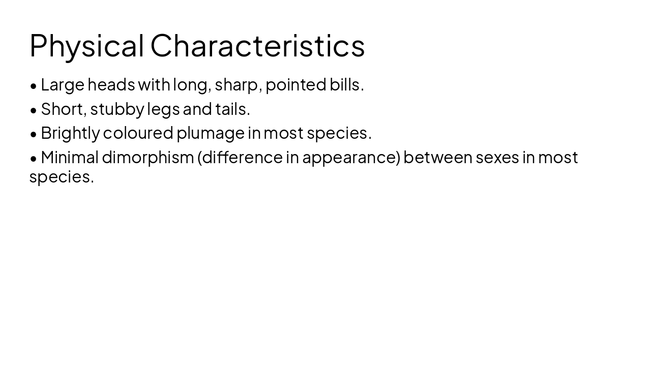 Slide 3 - Physical Characteristics