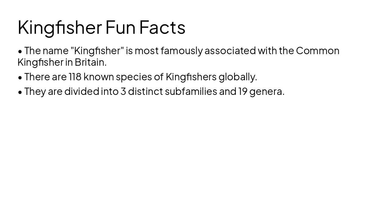 Slide 10 - Kingfisher Fun Facts