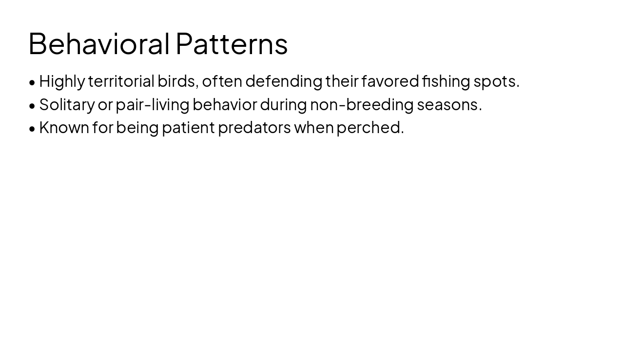 Slide 7 - Behavioral Patterns