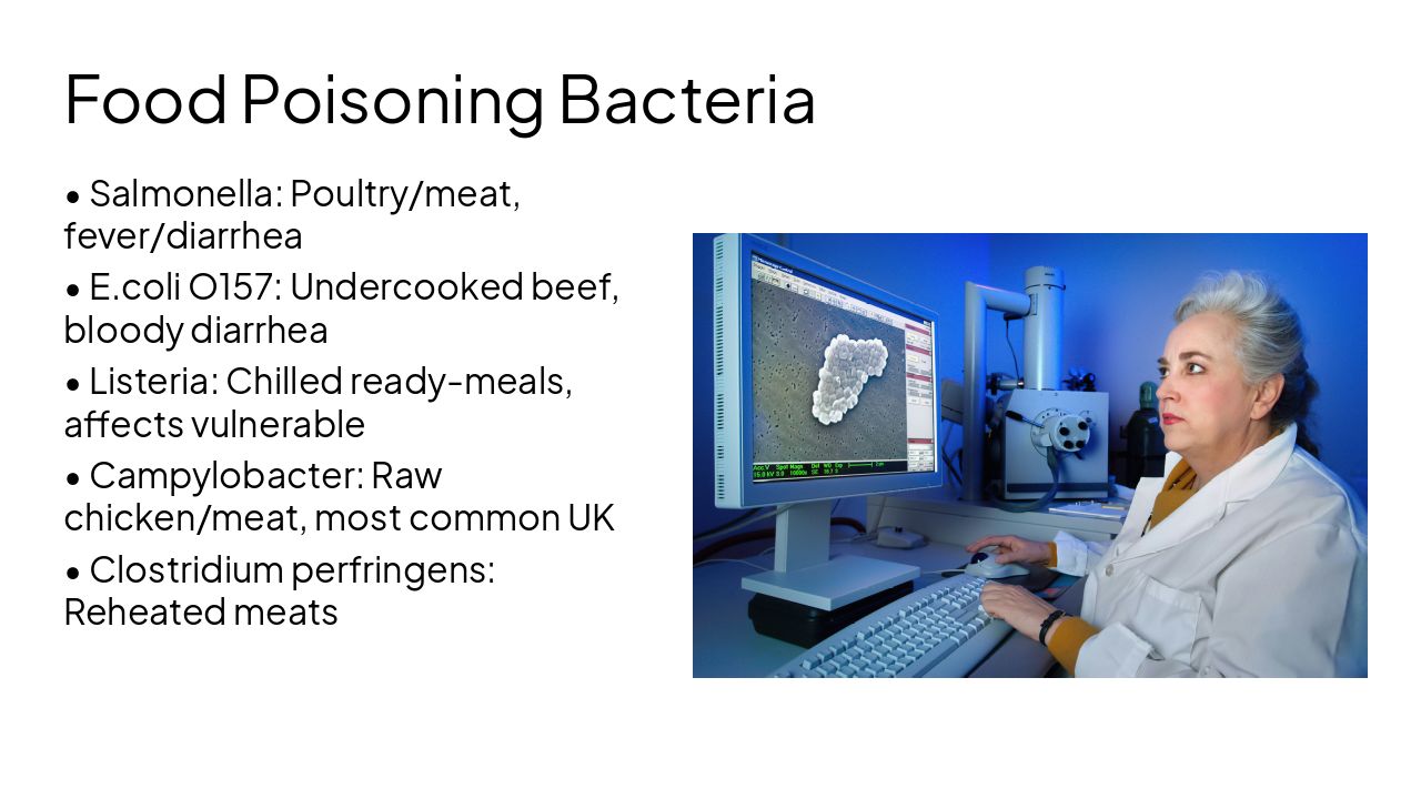 Slide 9 - Food Poisoning Bacteria