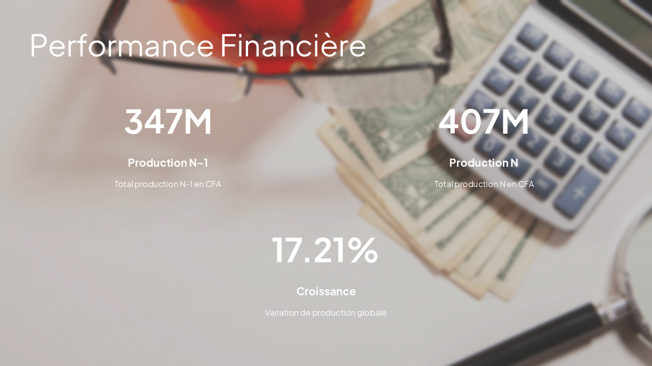 Slide 3 - Performance Financière
