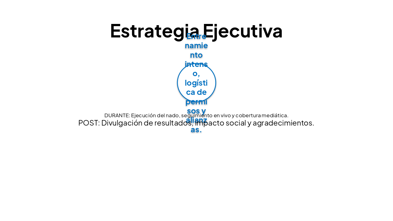 Slide 7 - Estrategia Ejecutiva