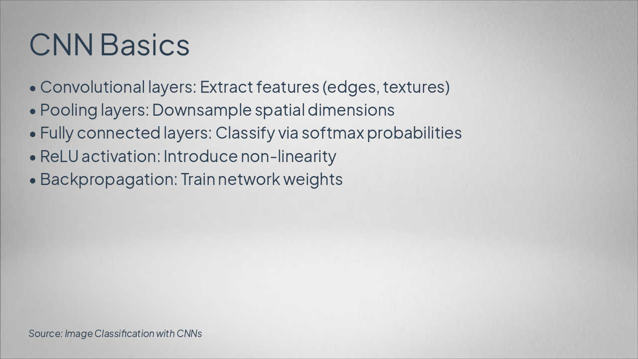 Slide 5 - CNN Basics