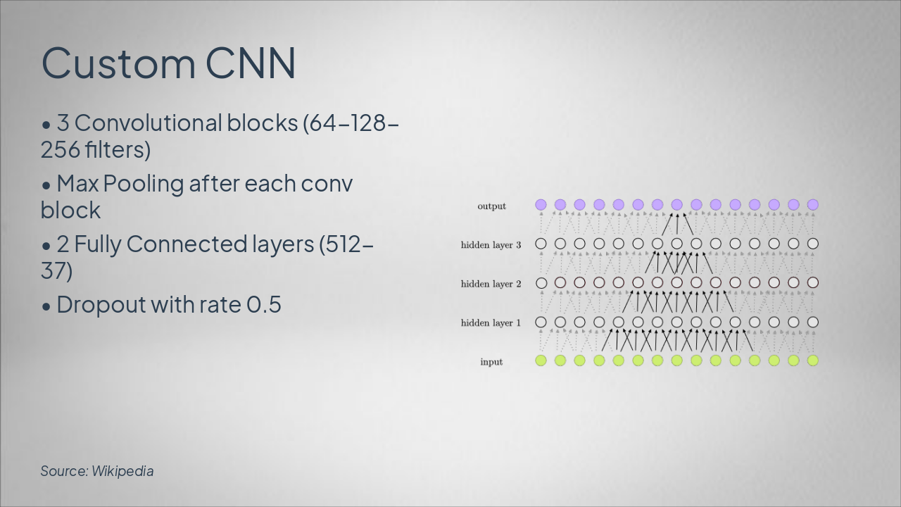 Slide 8 - Custom CNN