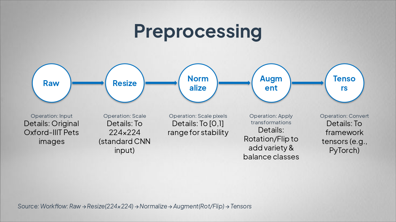 Slide 4 - Preprocessing