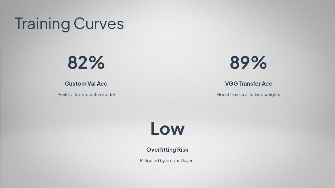 Slide 10 - Training Curves
