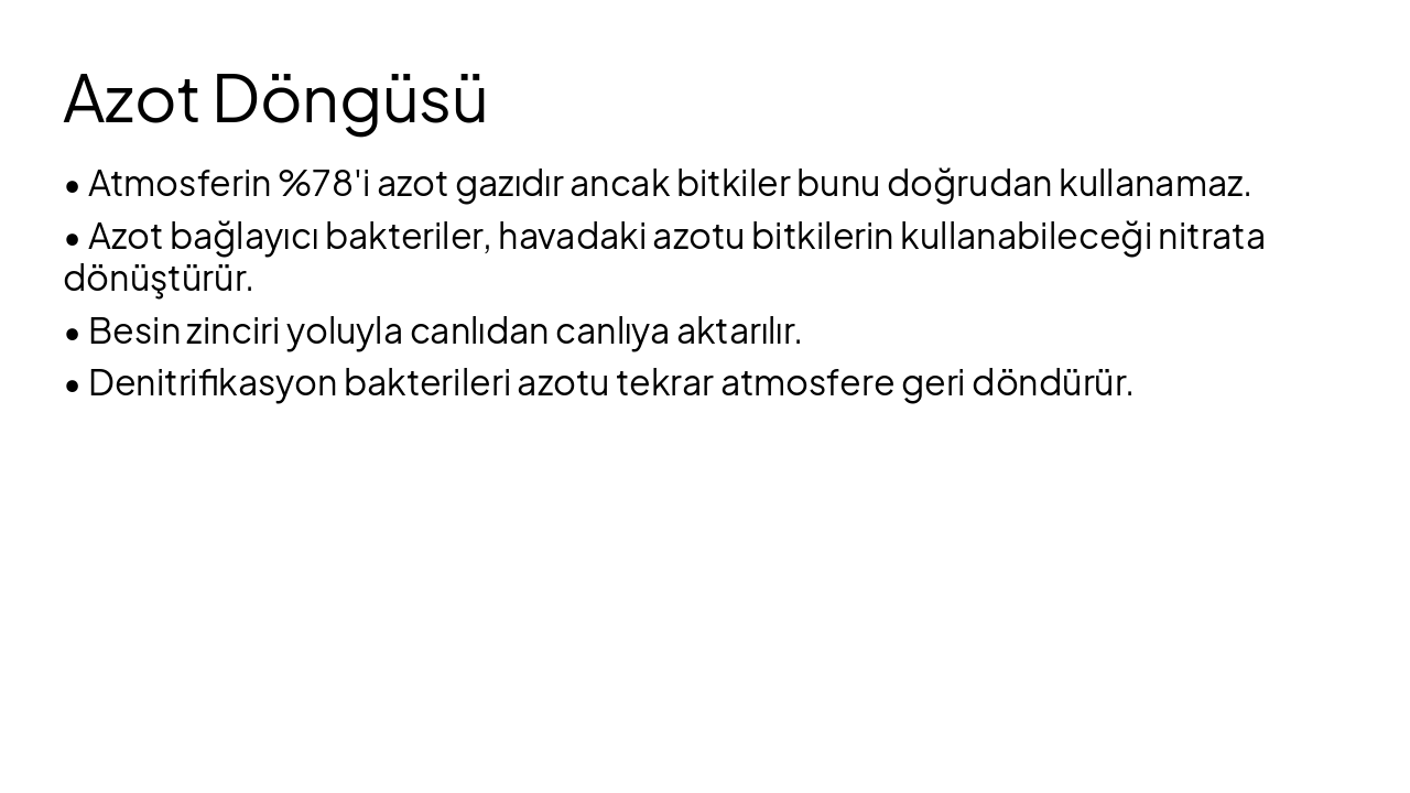 Slide 6 - Azot Döngüsü