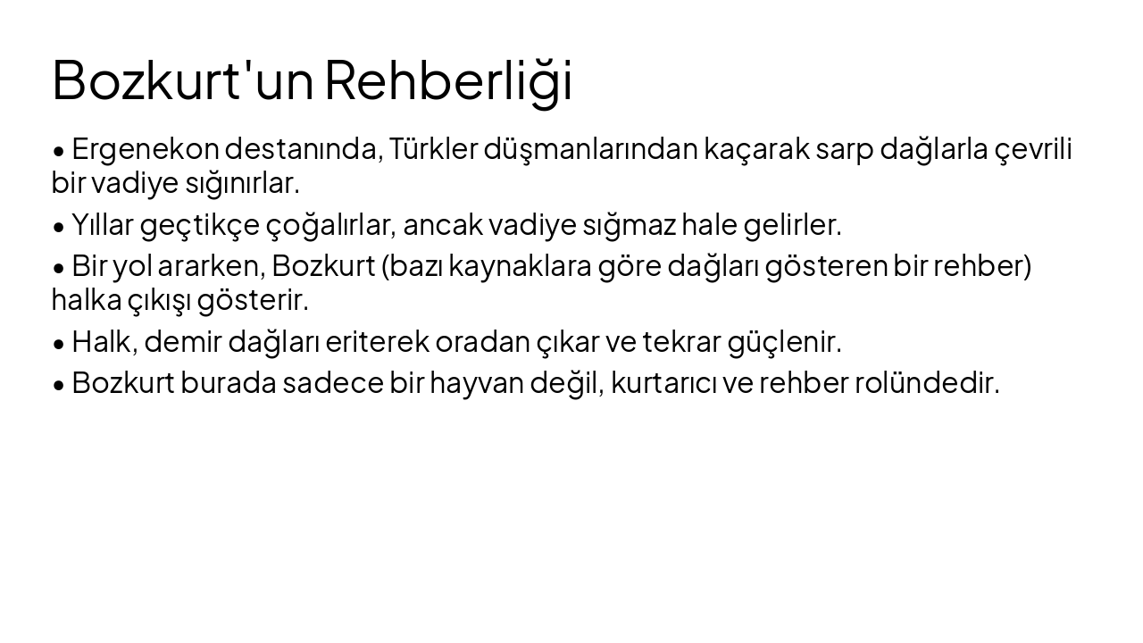 Slide 10 - Bozkurt'un Rehberliği