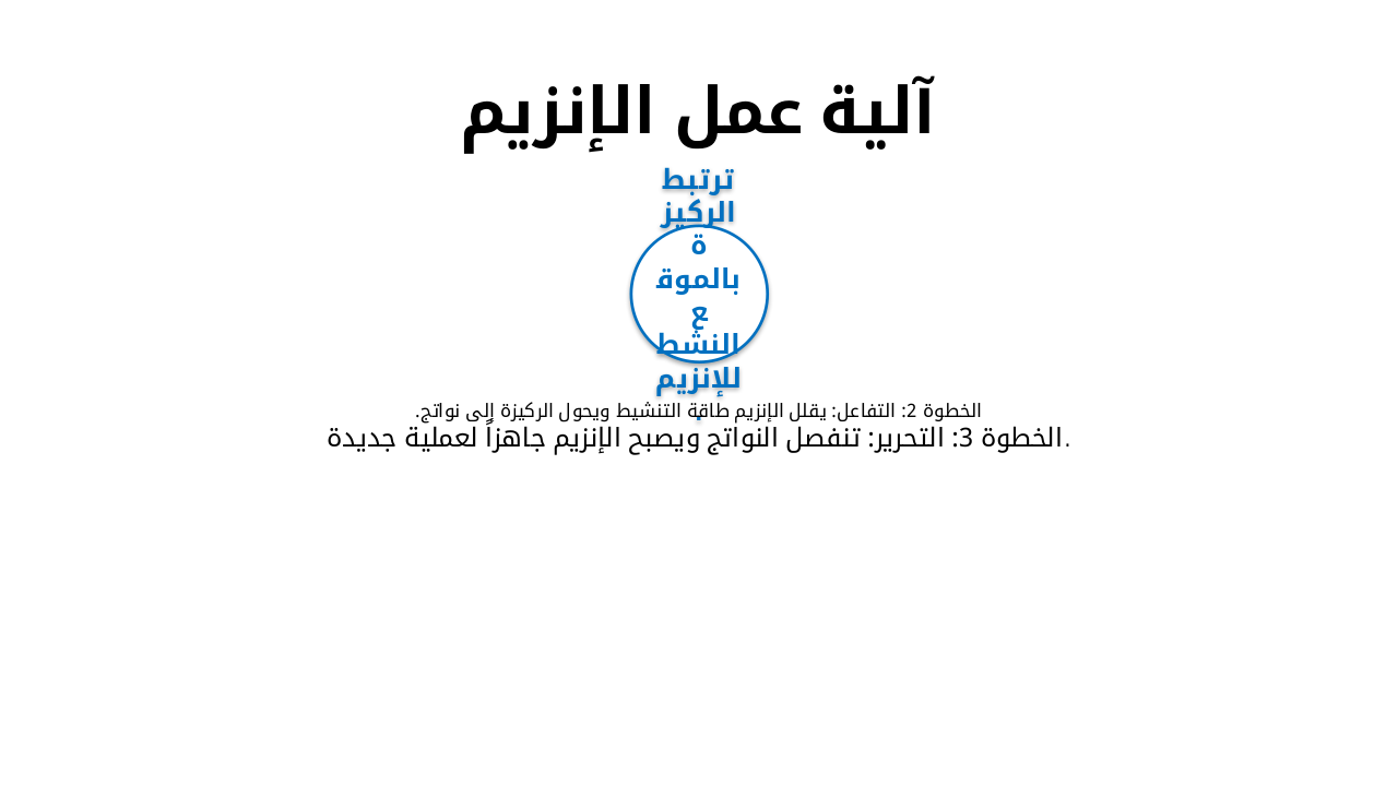Slide 5 - آلية عمل الإنزيم