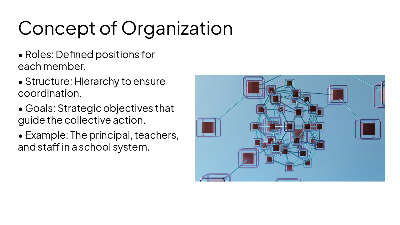 Slide 4 - Concept of Organization