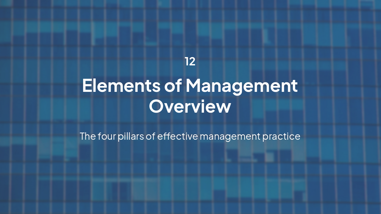 Slide 12 - Elements of Management Overview