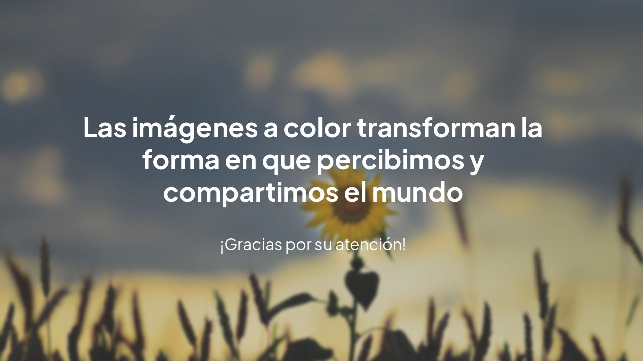 Slide 7 - Conclusión