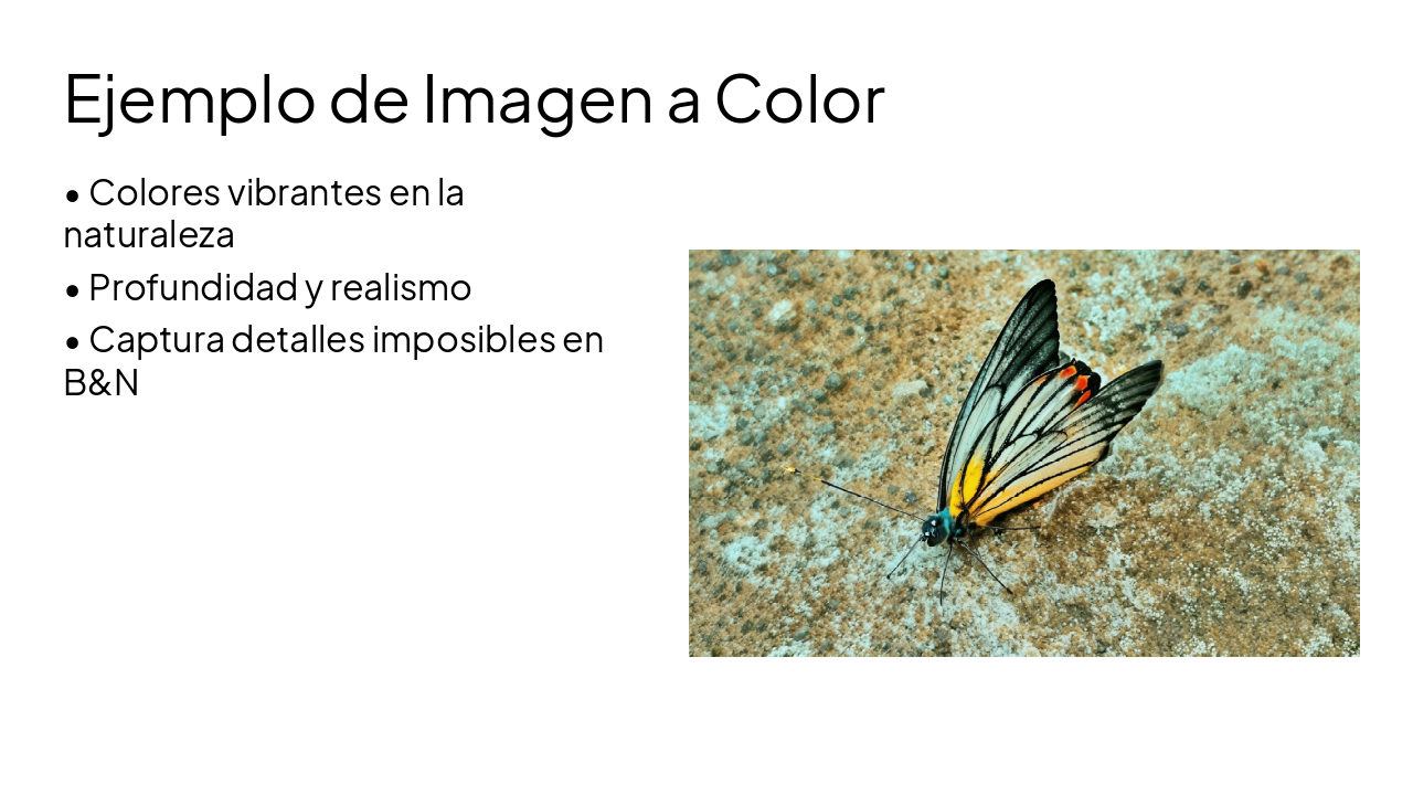 Slide 4 - Ejemplo de Imagen a Color