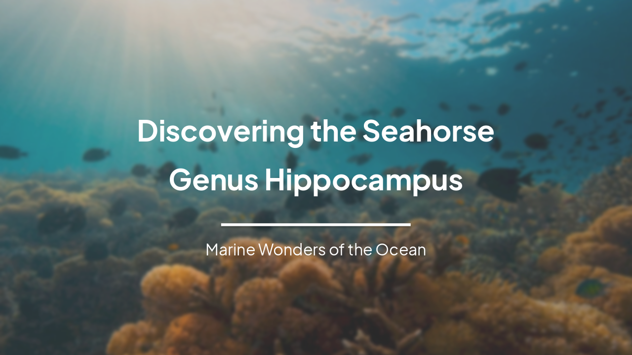 Discovering Seahorses: The Genus Hippocampus