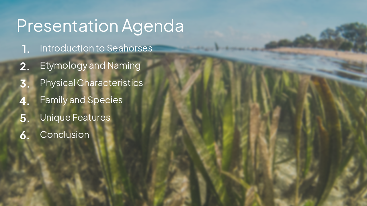 Slide 2 - Presentation Agenda