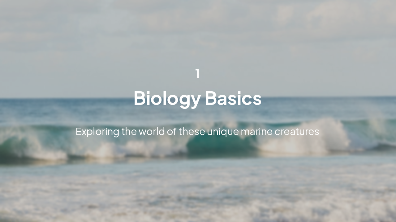 Slide 3 - Introduction