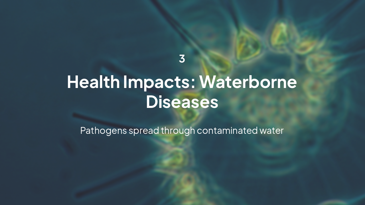 Slide 9 - Health Impacts