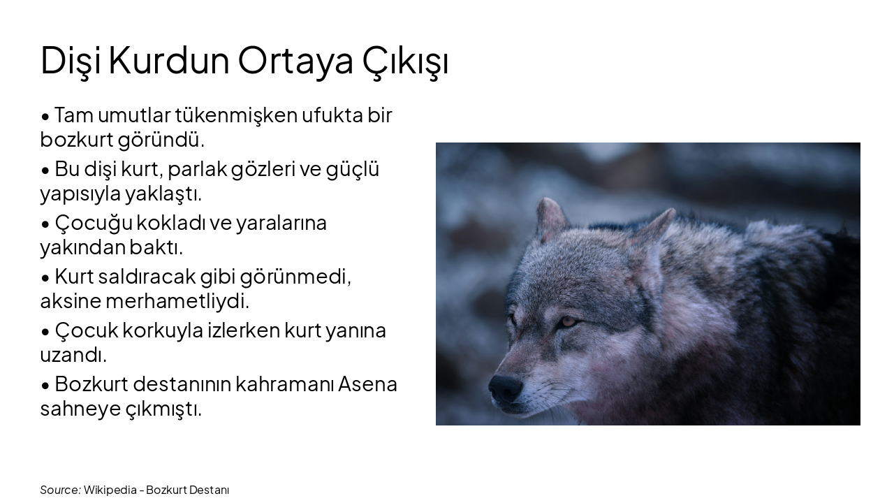 Slide 4 - Dişi Kurdun Ortaya Çıkışı