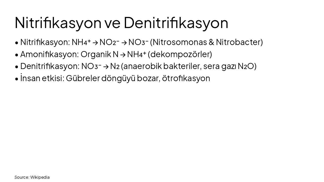 Slide 10 - Nitrifikasyon ve Denitrifikasyon