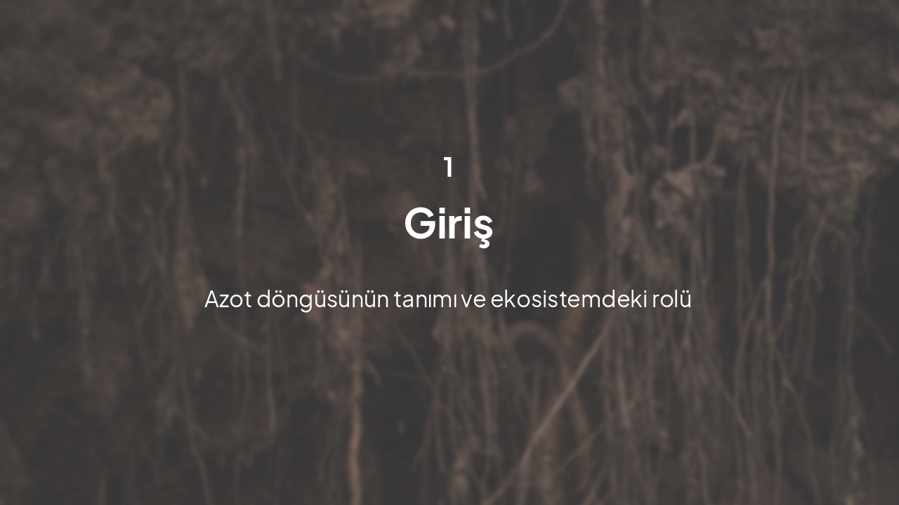Slide 3 - Bölüm 1: Giriş