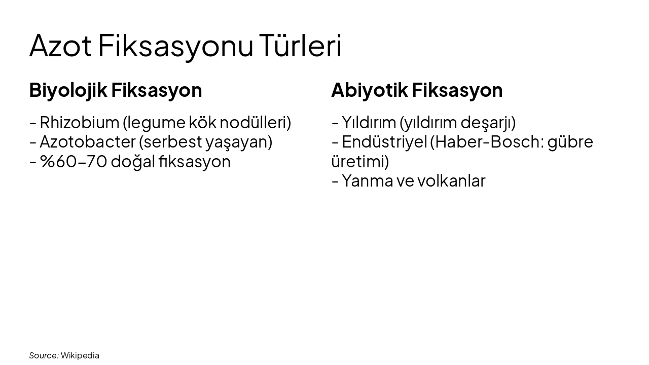 Slide 9 - Azot Fiksasyonu Türleri
