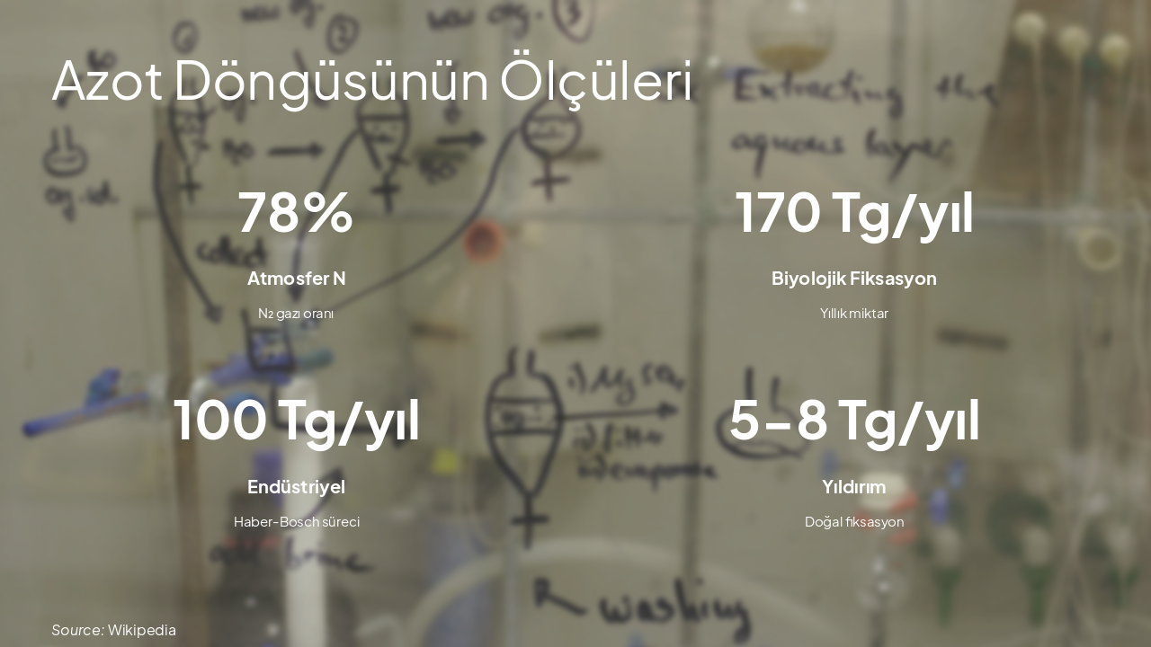 Slide 5 - Azot Döngüsünün Ölçüleri