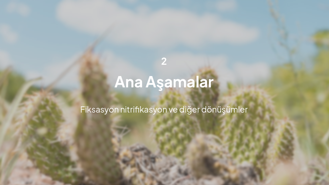 Slide 7 - Bölüm 2: Ana Aşamalar