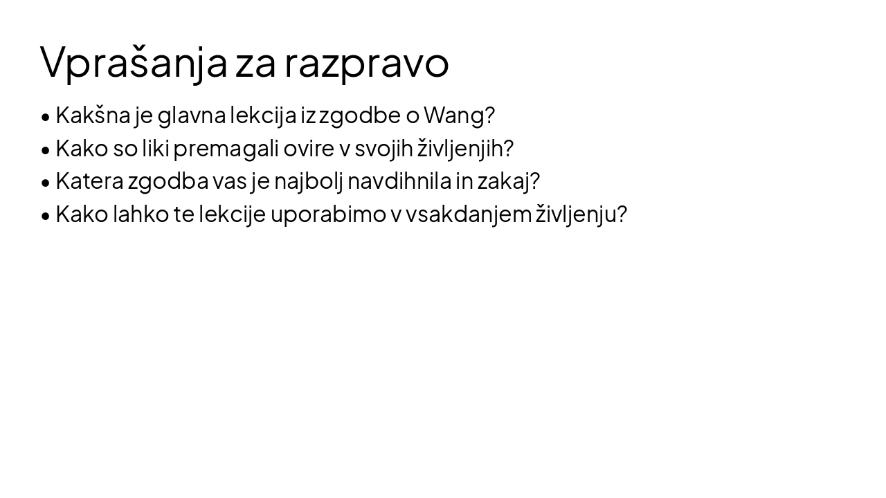 Slide 11 - Vprašanja za razpravo