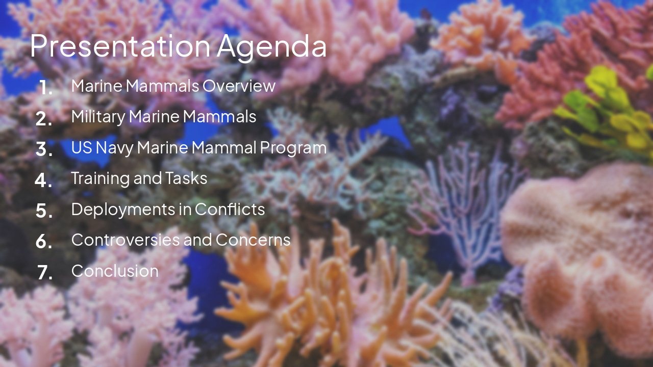 Slide 2 - Presentation Agenda