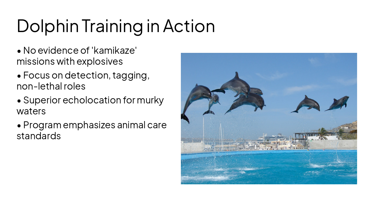 Slide 13 - Dolphin Training in Action