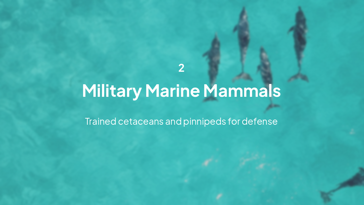 Slide 6 - Military Applications