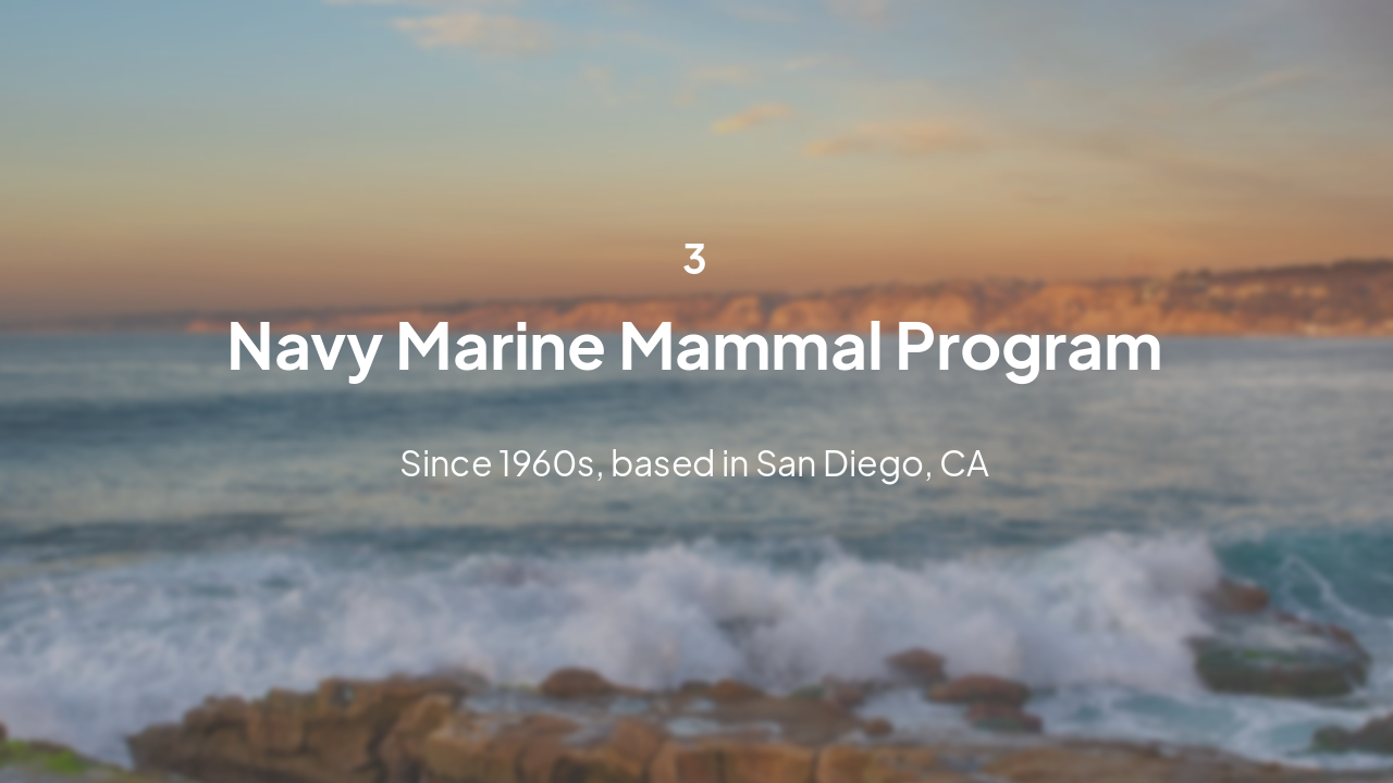 Slide 8 - US Navy Program