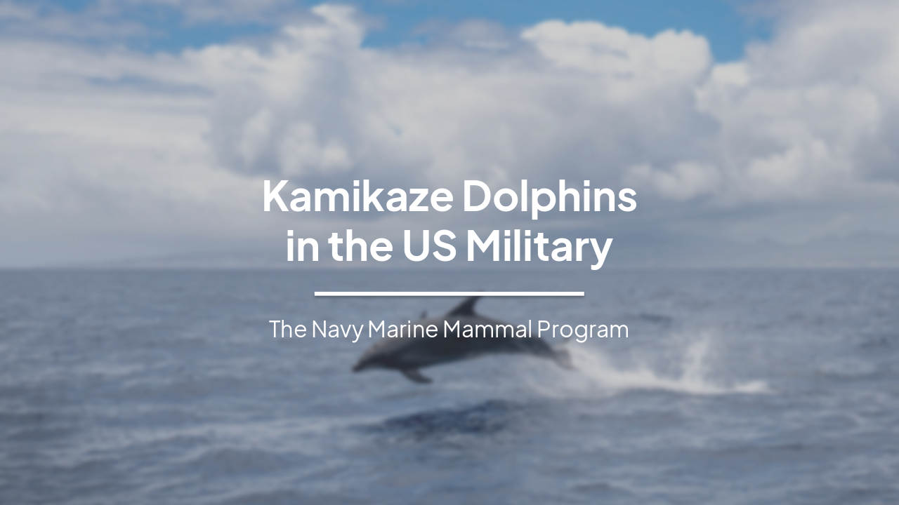 Slide 1 - Kamikaze Dolphins
in the US Military