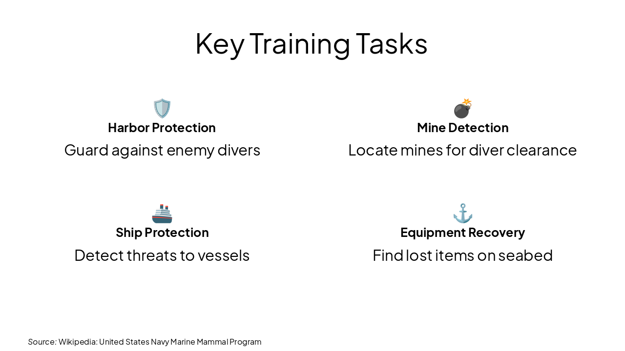 Slide 10 - Key Training Tasks