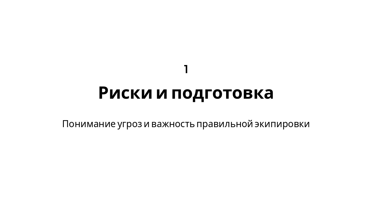 Slide 3 - Раздел 1: Риски и подготовка