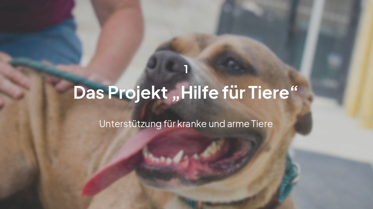 Slide 3 - Projektvorstellung