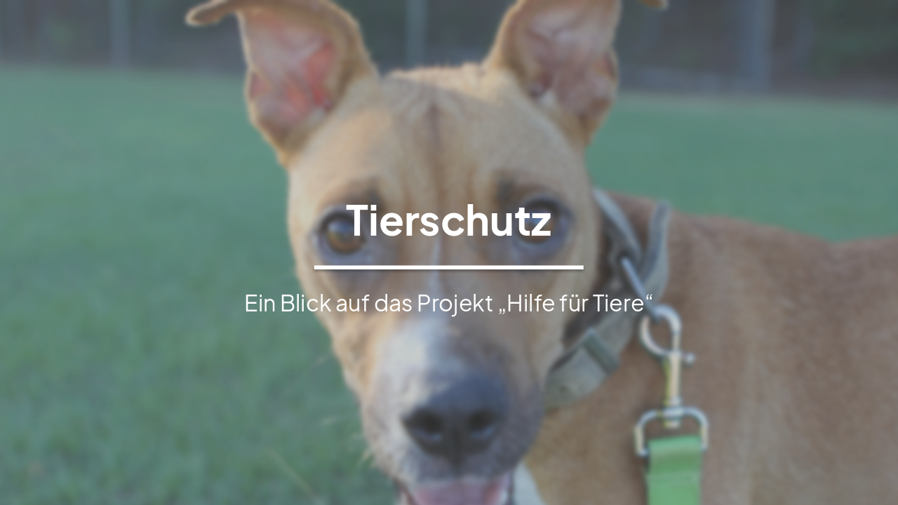 Slide 1 - Tierschutz