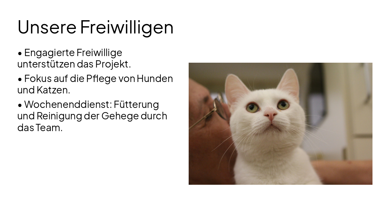 Slide 5 - Unsere Freiwilligen