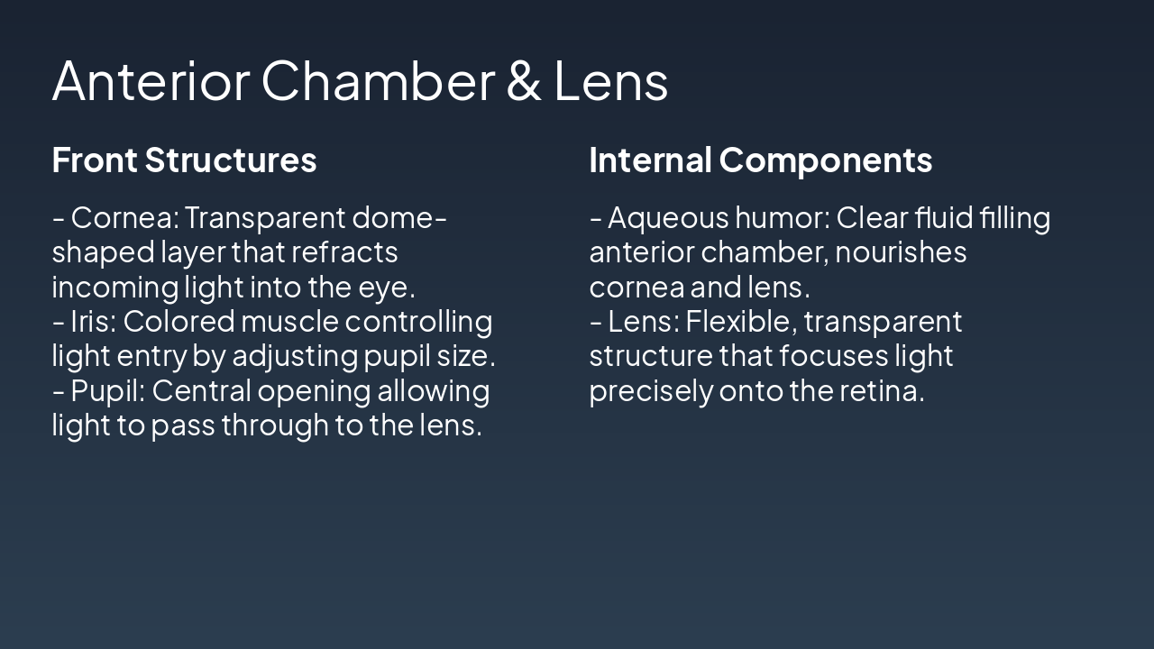 Slide 4 - Anterior Chamber & Lens