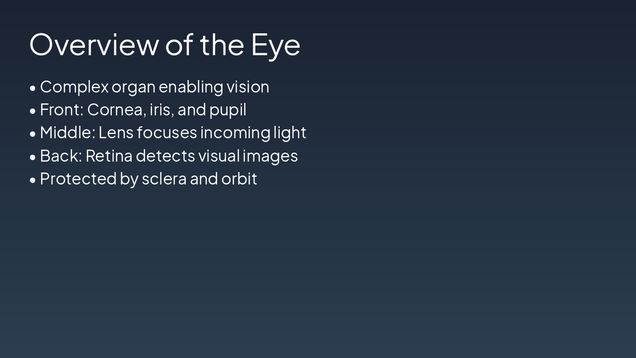 Slide 2 - Overview of the Eye